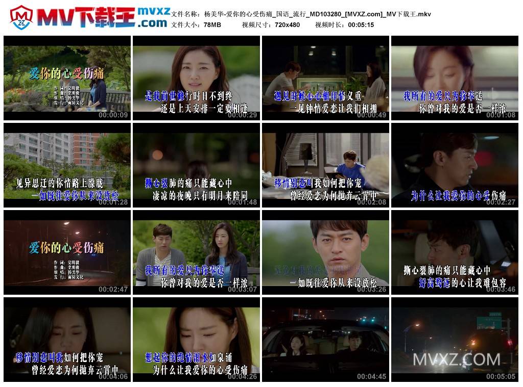 杨美华-爱你的心受伤痛_国语_流行_MD103280